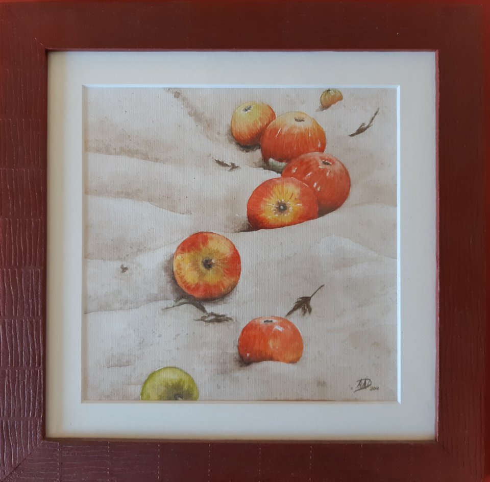 Des pommes dans le sable